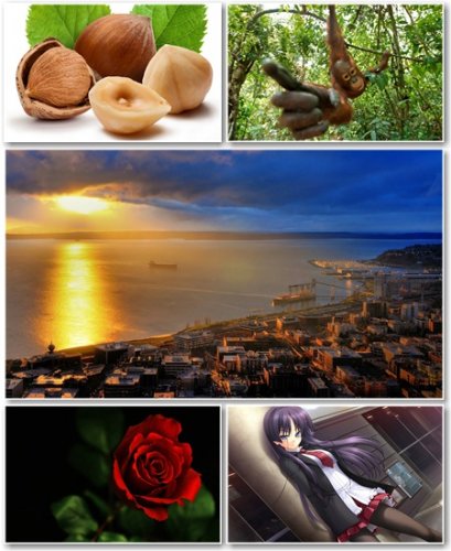 Best HD Wallpapers Pack 523