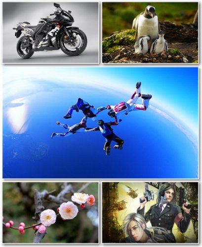 Best HD Wallpapers Pack 530
