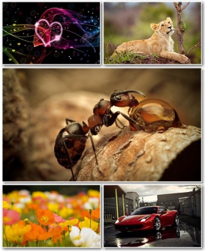 Best HD Wallpapers Pack 545