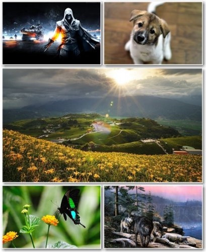 Best HD Wallpapers Pack 548