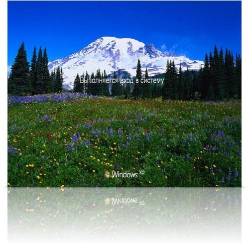 Windows XP City ��� 5 Pro Russian