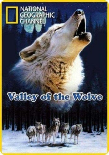   / Valley of the Wolves (2007) SATRip