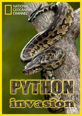    / Python invasion (2011) SATRip