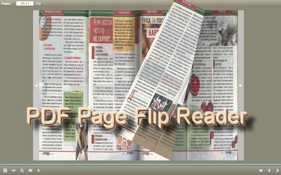 PDF Page Flip Reader 2.4 (2012) ENG