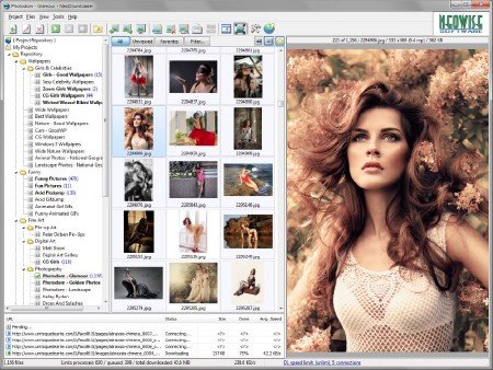 NeoDownloader 2.9.1 Build 170 (2012/ENG)