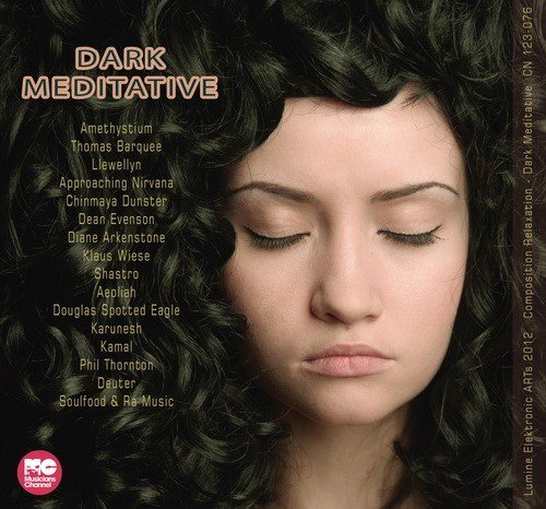 VA- Dark Meditative (2012)