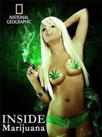    / National Geographic: Inside Marijuana (2009) SATRip