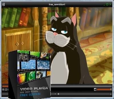 SGS VideoPlayer 1.1.0 ( ENG) 2012