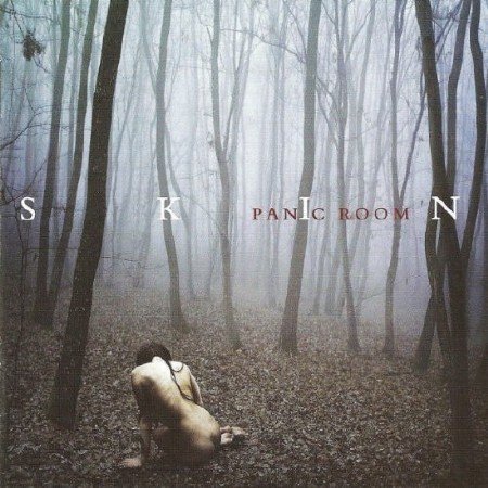 Panic Room - Skin (2012)