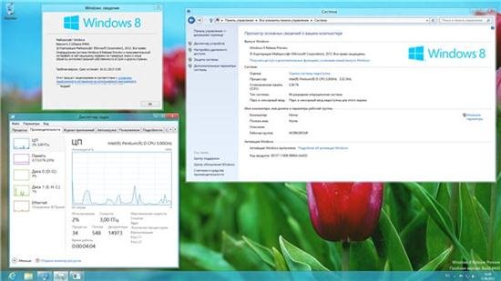 Windows 8 Release Preview 32/64-bit DVD WPI 06.07.2012