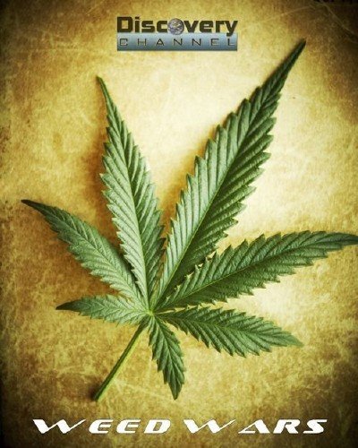 Discovery: ��������� � ������ / Discovery: Weed Wars (2012) SATRip