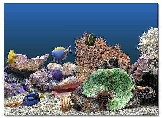 Marine Aquarium 3.2.6029 RUS