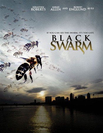   / Black Swarm (2007 / DVDRip)