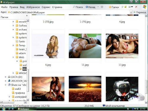 Windows XP Pro service pack 3 License (x86) 2012RUEN