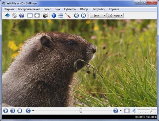 SMPlayer 0.8.0.4362 RuS + Portable
