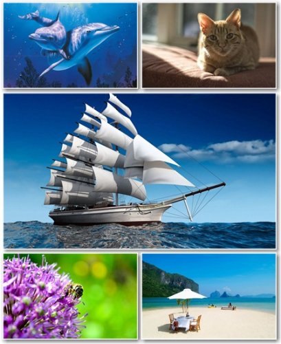 Best HD Wallpapers Pack 652