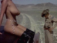 ��� � ������ / Common Law Cabin (1967) DVDRip