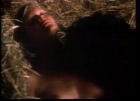 ���� � ���-����� / Summer In Saint Tropez (1983) DVDRip