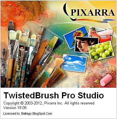 TwistedBrush Pro Studio 19.05 + Portable