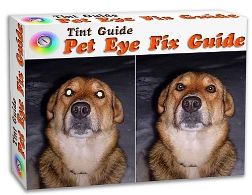 Pet Eye Fix Guide 1.3 Rus Portable