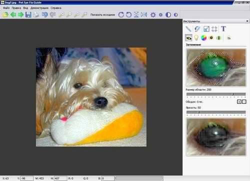 Pet Eye Fix Guide 1.3 Rus Portable