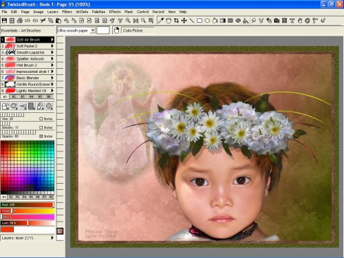 TwistedBrush Pro Studio 19.04