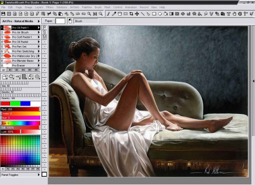 TwistedBrush Pro Studio 19.04