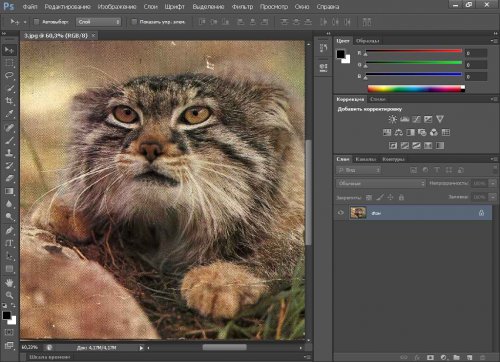 Adobe Photoshop CS6 13.0.1 Portable + Adobe Photoshop CS6 13.0.1 Extended Portable