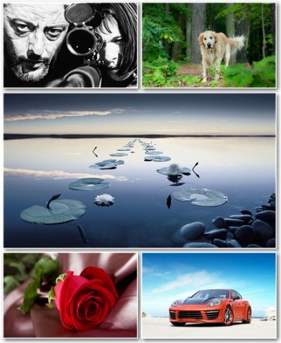 Best HD Wallpapers Pack 701