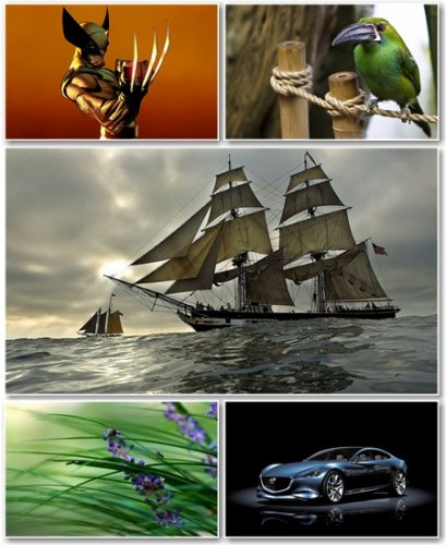 Best HD Wallpapers Pack 702