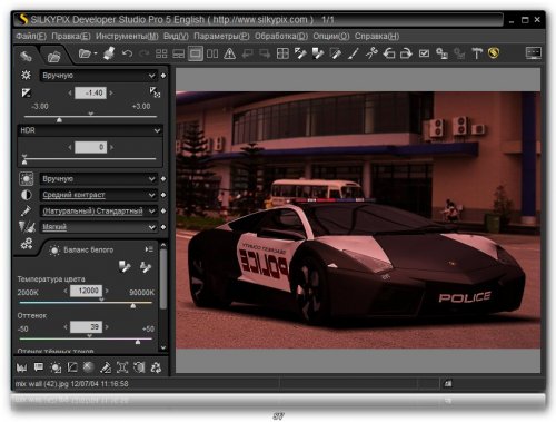 SILKYPIX Developer Studio Pro 5.0.20.0 (ENG + RUS)