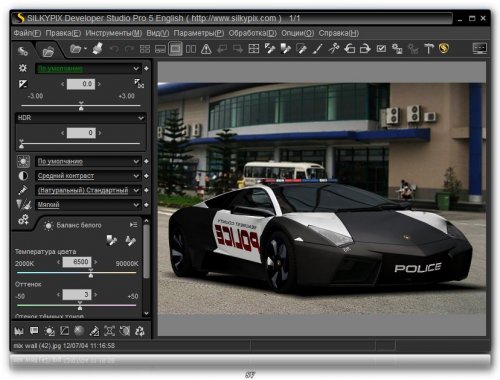 SILKYPIX Developer Studio Pro 5.0.20.0 (ENG + RUS)