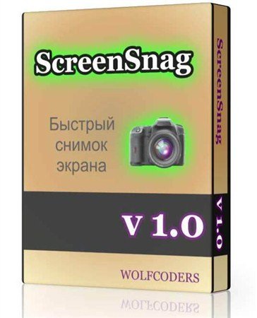 ScreenSnag 1.0.0.4  ( ENG) 2012