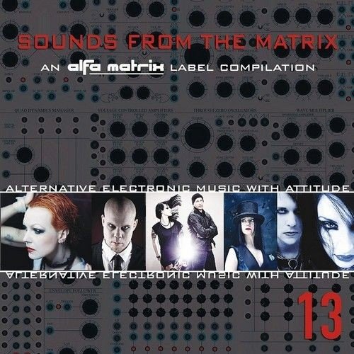 Sounds From The Matrix 13 (2012)
