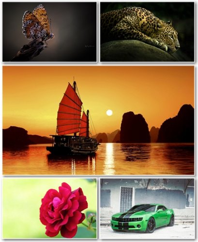 Best HD Wallpapers Pack 729