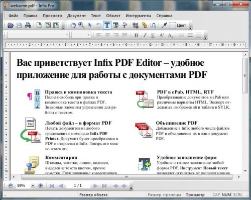 InfixPro PDF Editor 5.23 Rus Portable