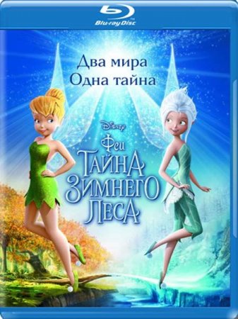 :    / Secret of the Wings (2012) HDRip