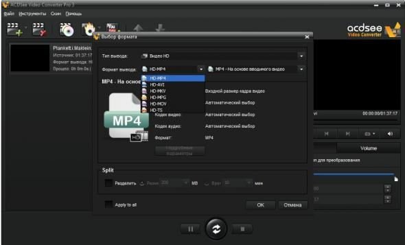 ACD Systems ACDSee Video Converter Pro 3.0.24.0 Rus Portable by Maverick
