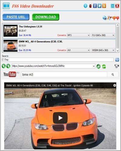 FSS Video Downloader 3.0.5.6 Rus Portable