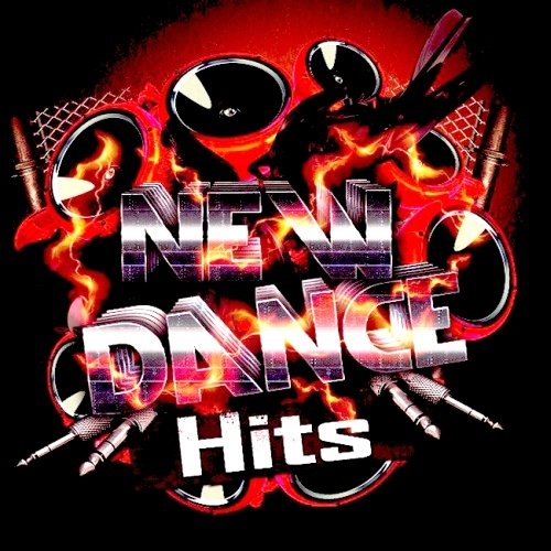 VA - New Dance Hits (2013)