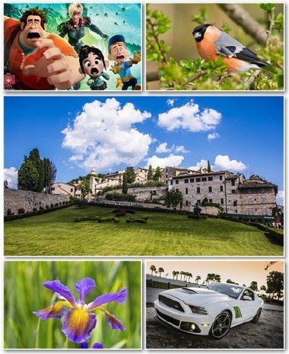 Best HD Wallpapers Pack 981